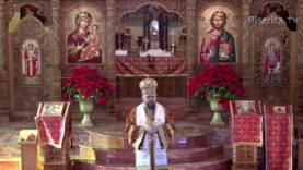 Predica –  Sf. Vasile cel Mare